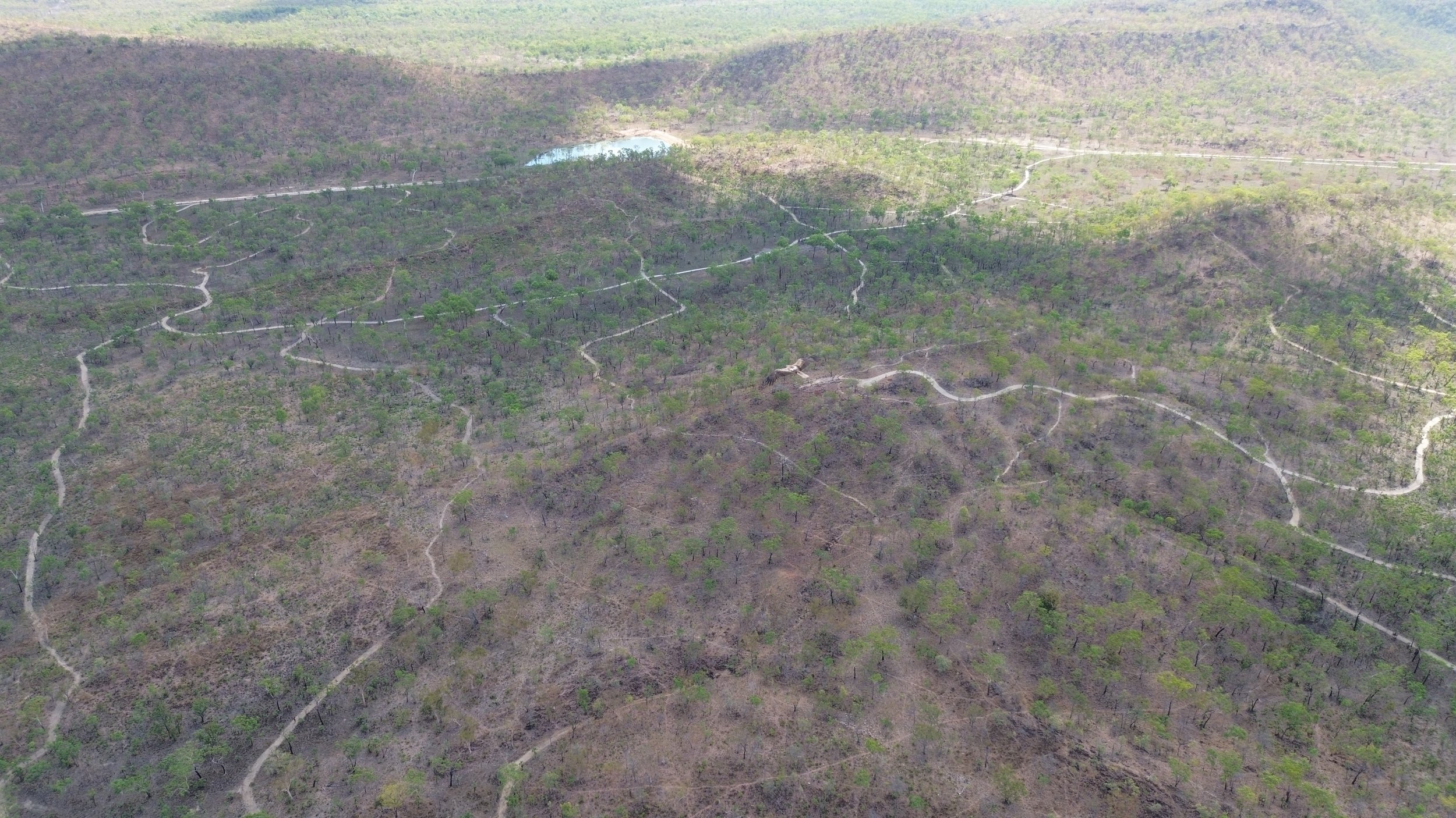 dji_fly_20260823_153150_192_1787465139357_photo_optimized.jpeg