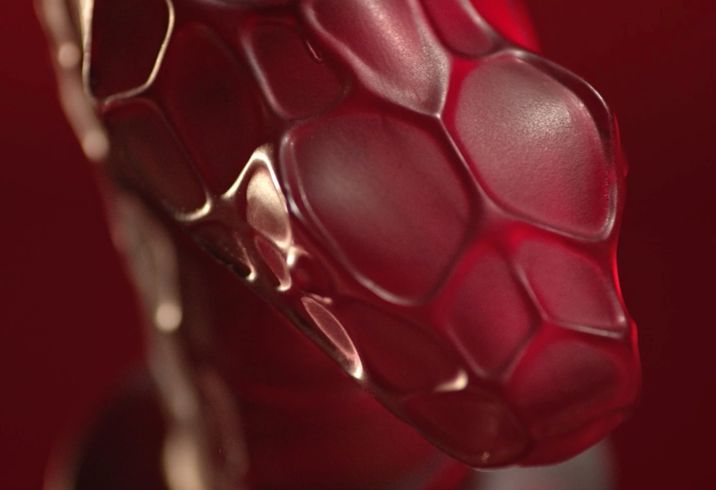 Capture d’écran 2025-11-17 144938.jpg