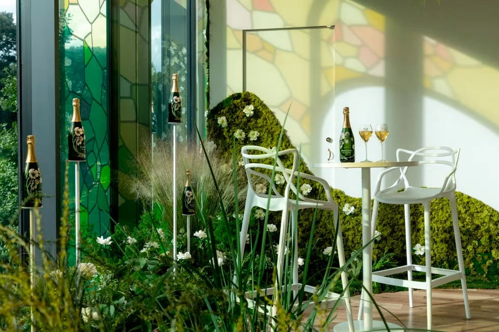 House Of Wonder- David Pergier