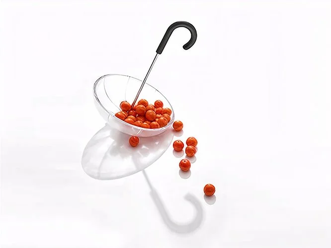 Crystal Umbrela - Hermes - David Pergier