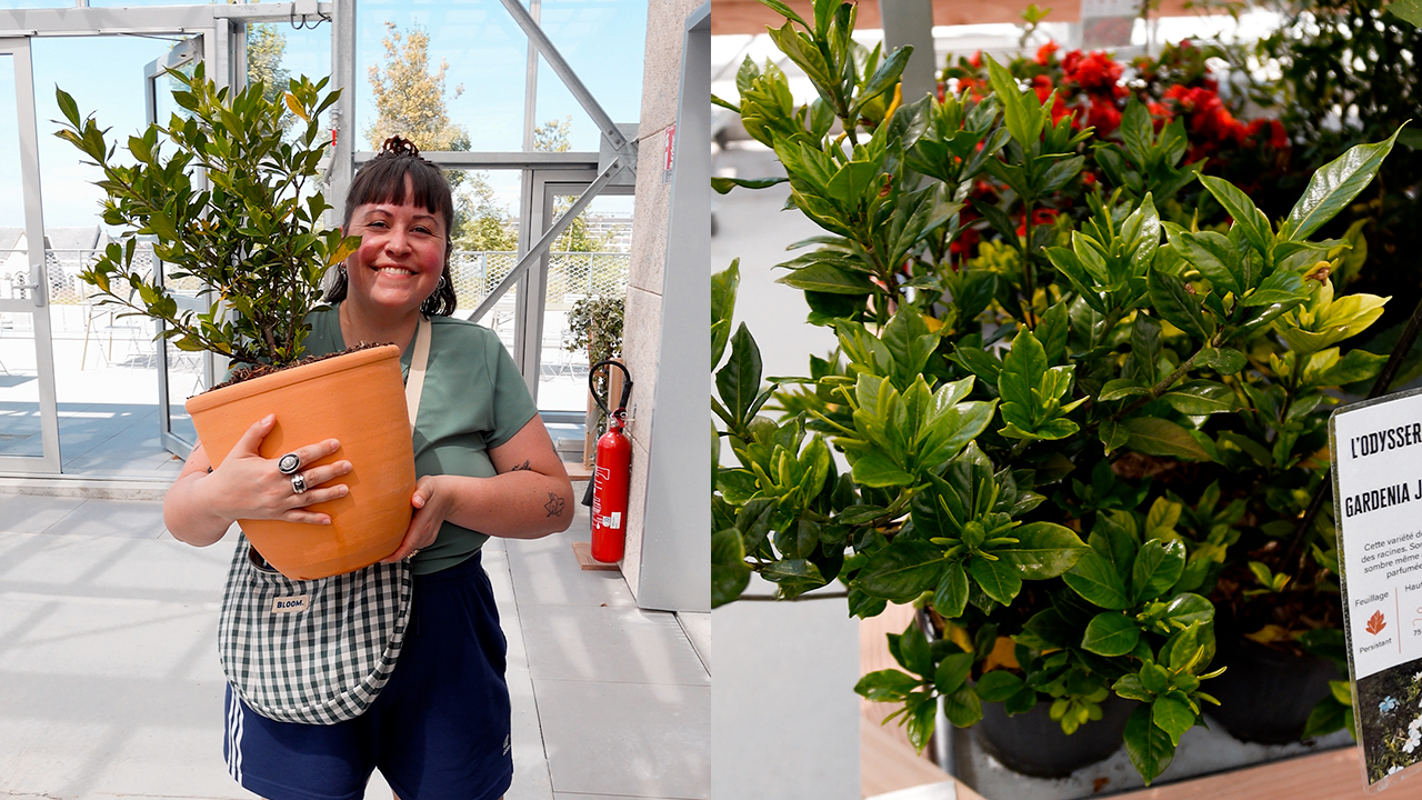 L’Odysserre : un café et un marché aux plantes sur un toit d’Angers