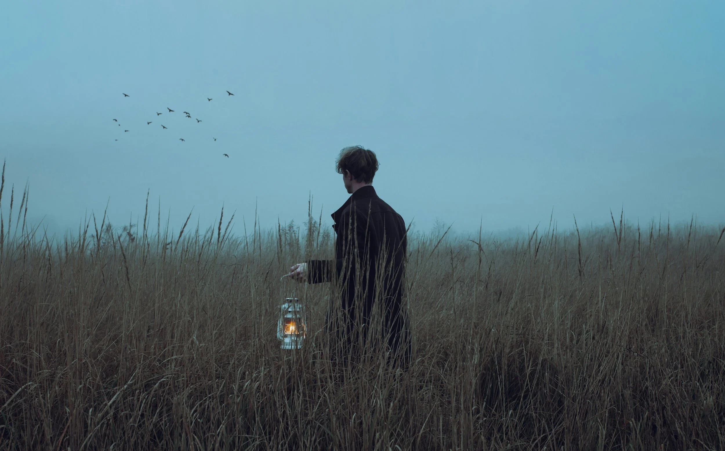 A man standing in a grassy field at dusk, holding a lantern, with birds flying in the sky.