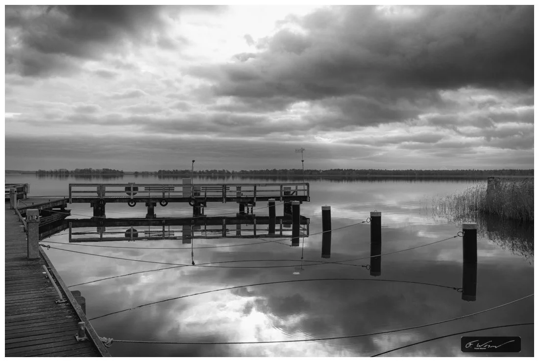 Frank Wesner:Landscape