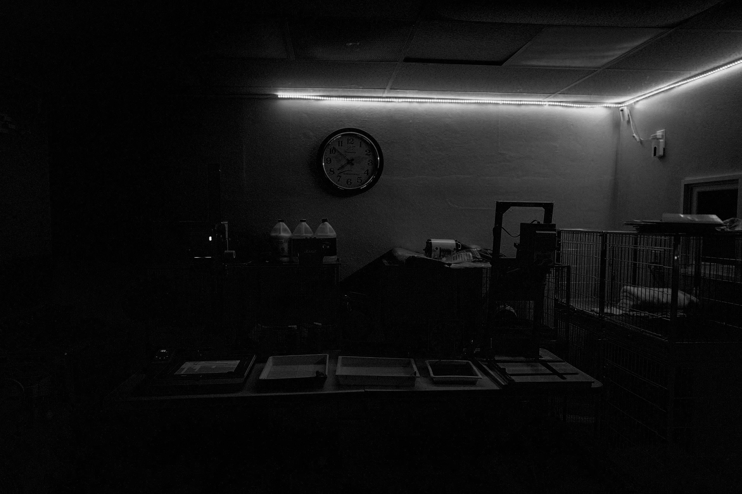 Lessons from the Darkroom