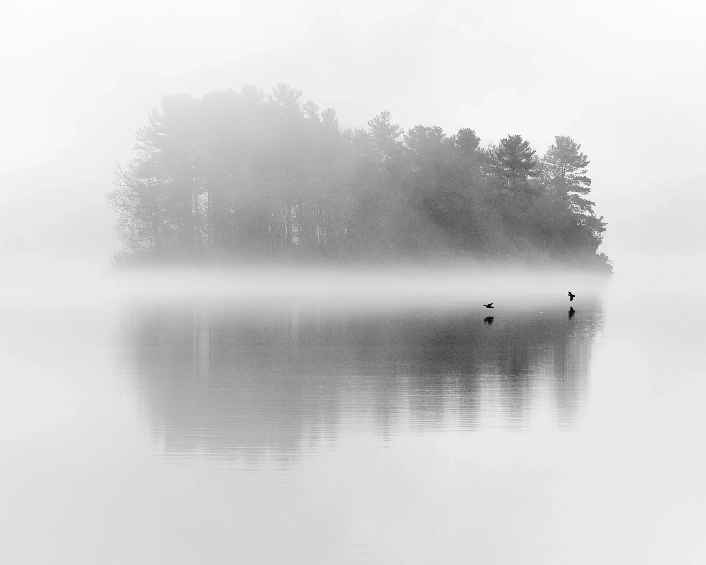 Darren Pellegrino:Landscape