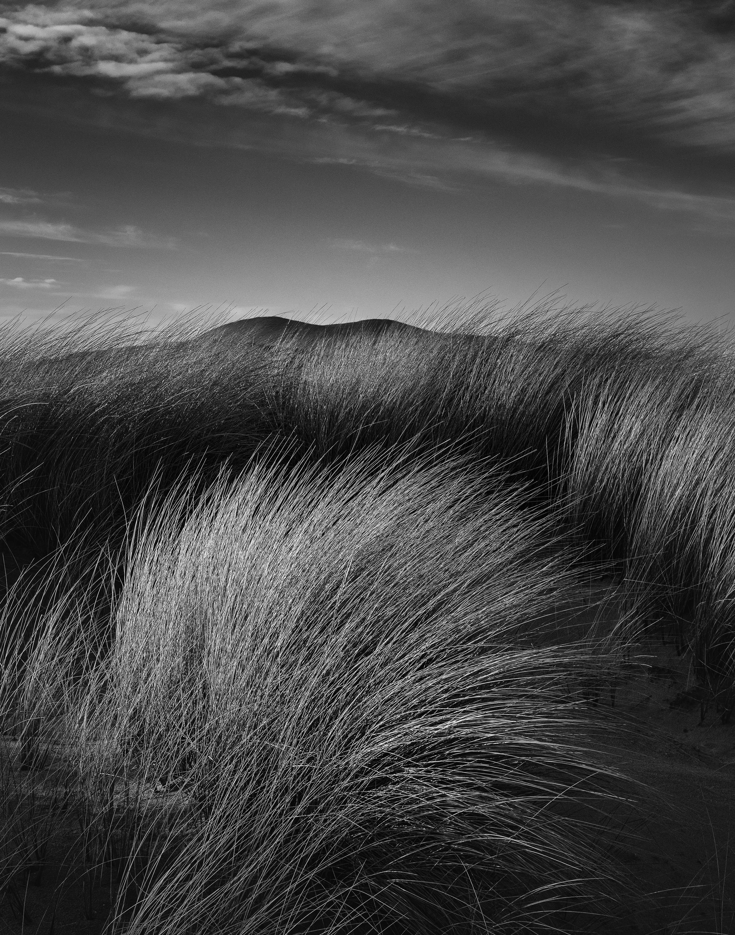 Behind The shot With Michael Houghton