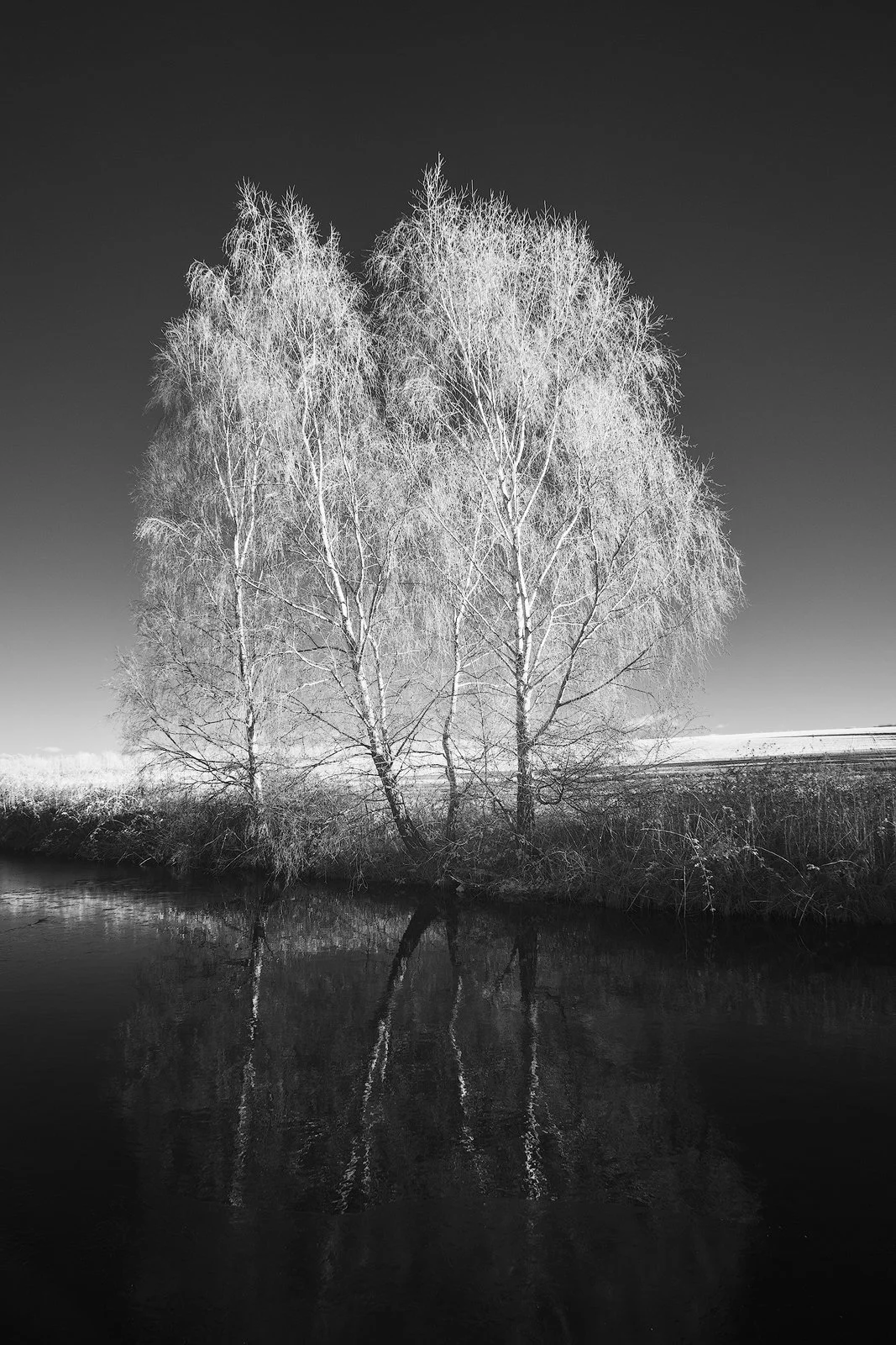 _7R31480-Edit1600.jpg