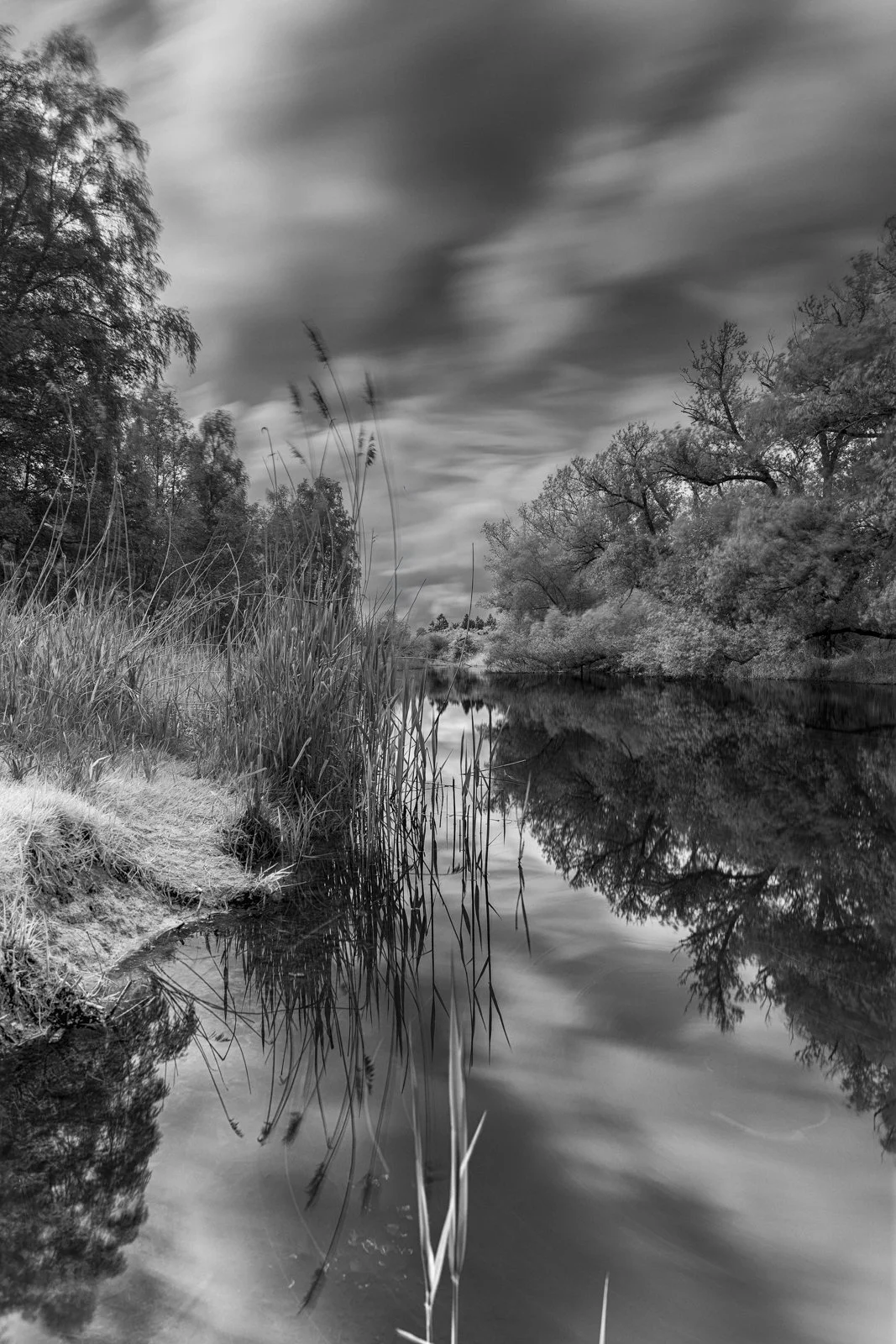 Frank Wesner:Landscape