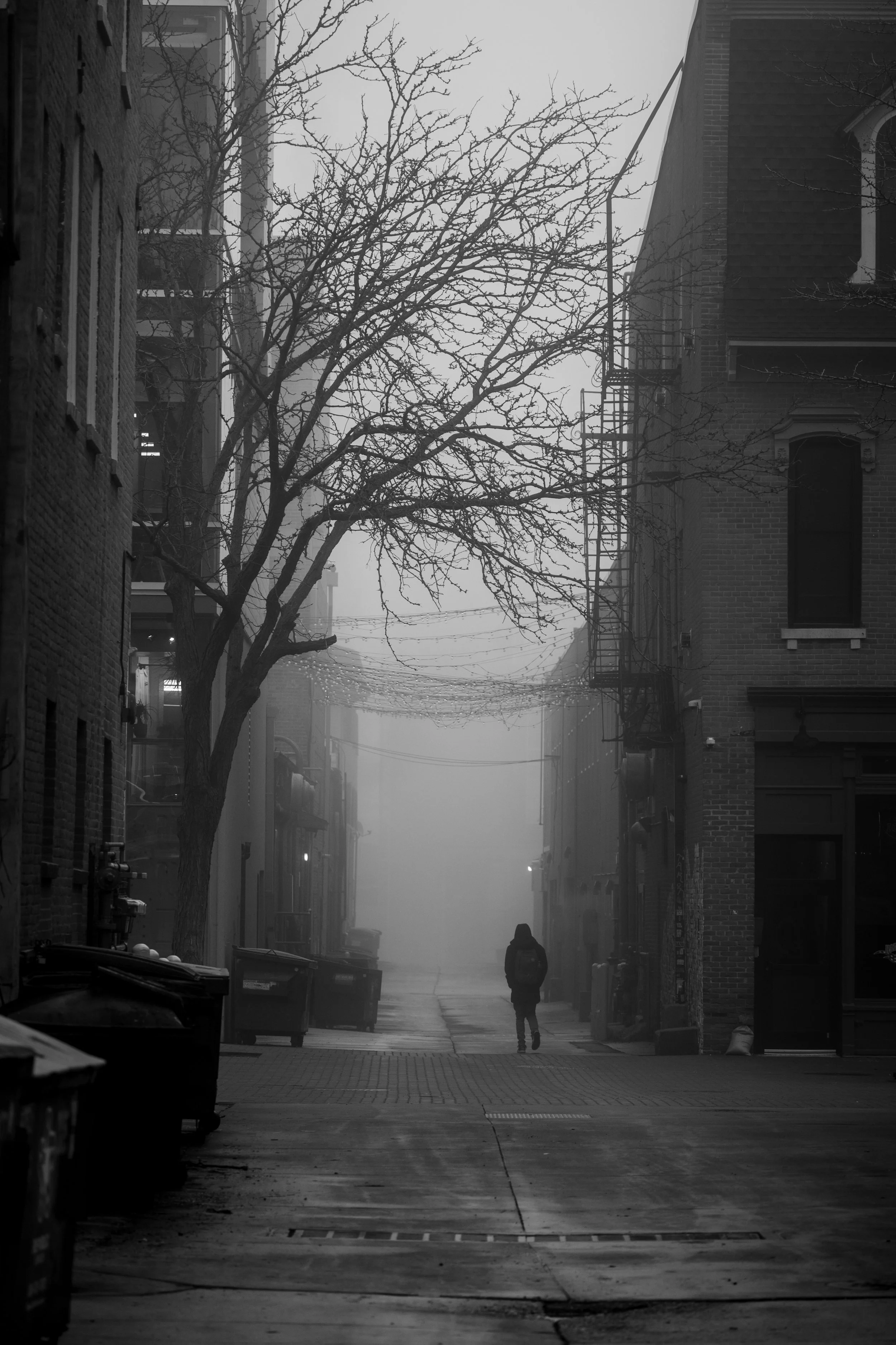 DSC_2378.jpg