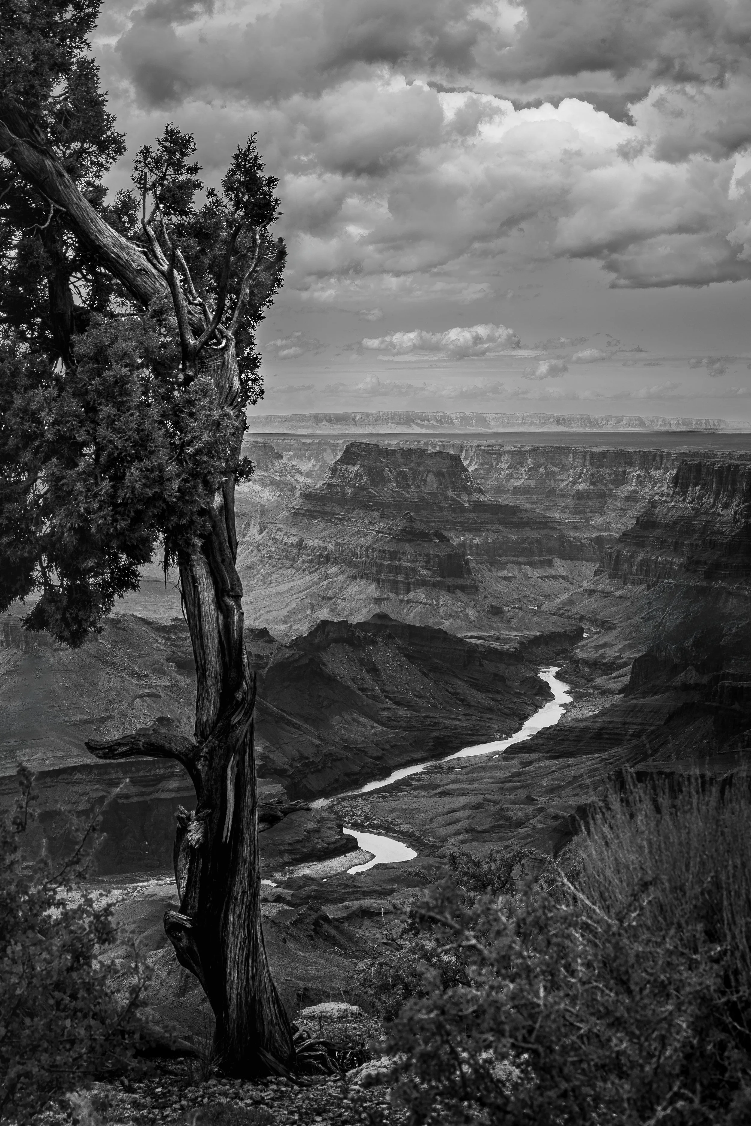 Barbara Altevers:Landscape