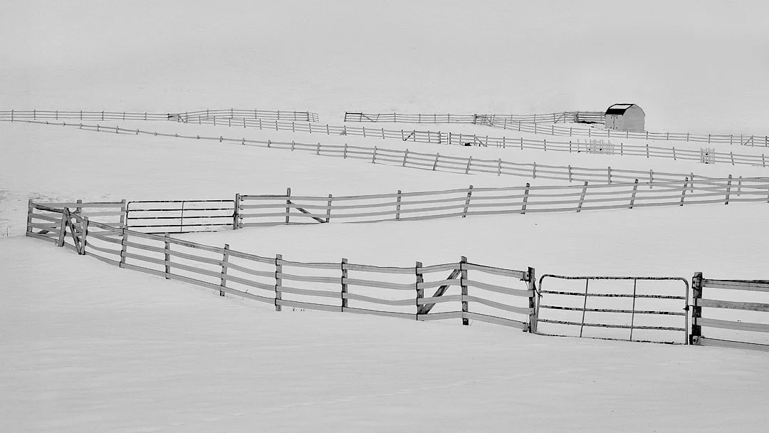 The Best Light of the Year is Happening Right Now