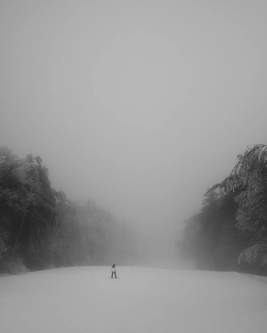Darren Pellegrino:Landscape
