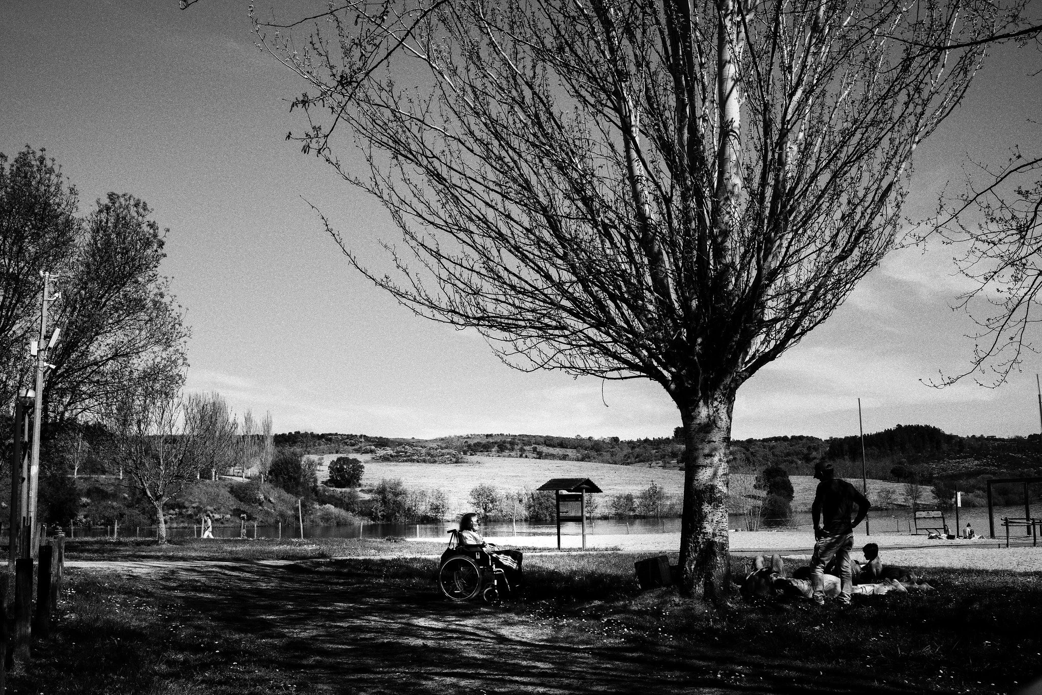 Luis Martins Pisco:Documentary