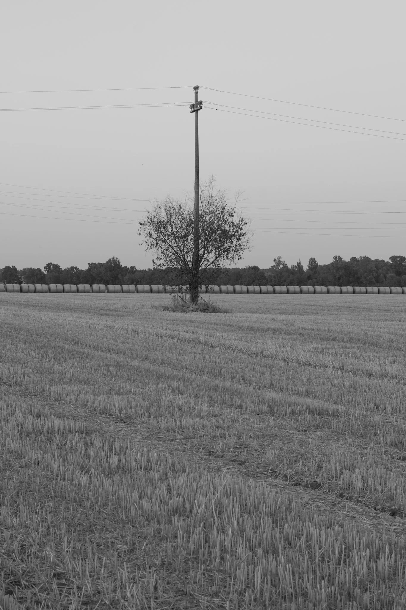 Duccio Solari:Landscape