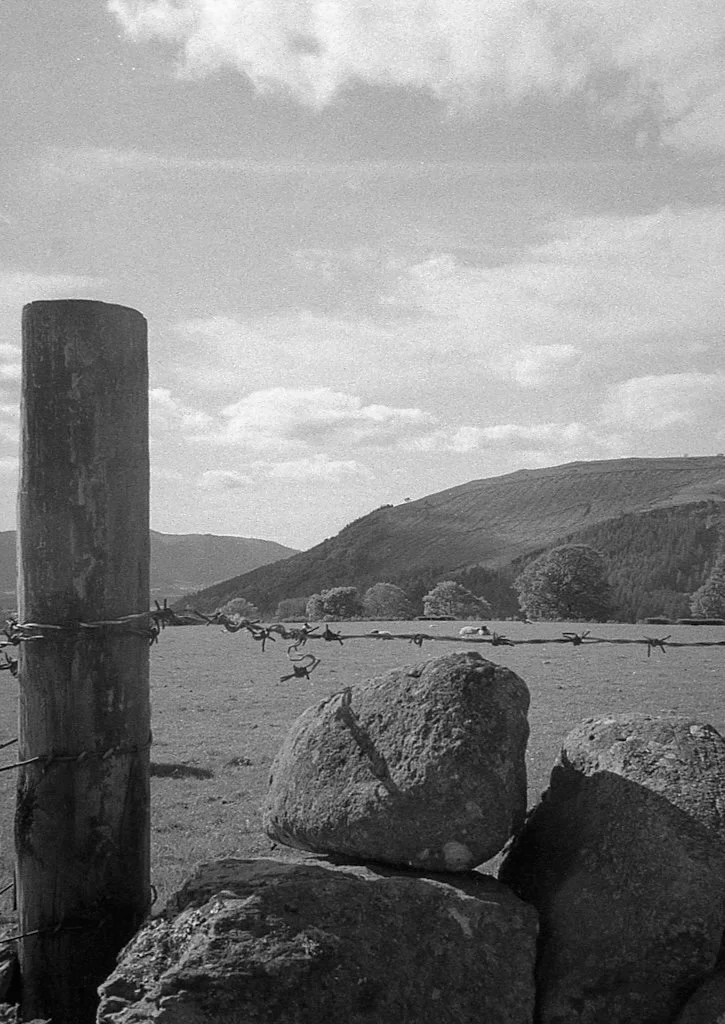 Credit: Samantha Johnson
  View Portfolio 