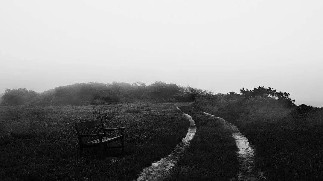 Finding Extraordinary in the Ordinary