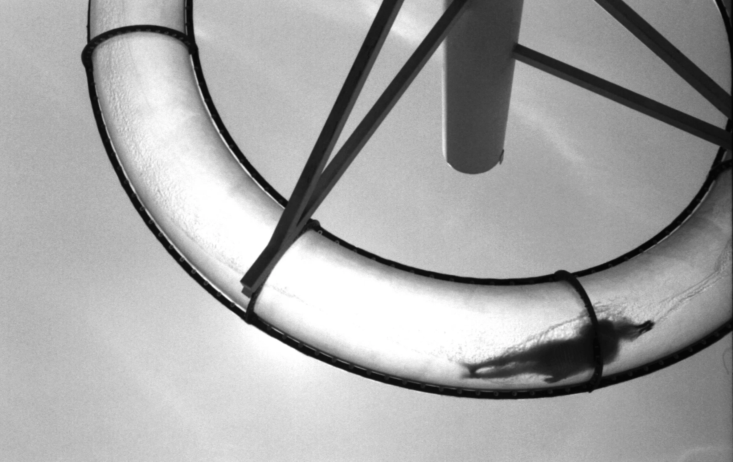 Waterslide-S-Lukas.jpg