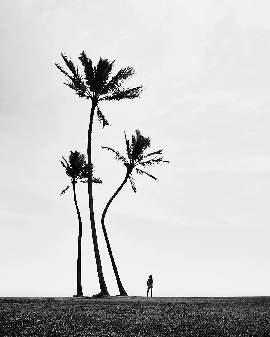 Darren Pellegrino:Nature