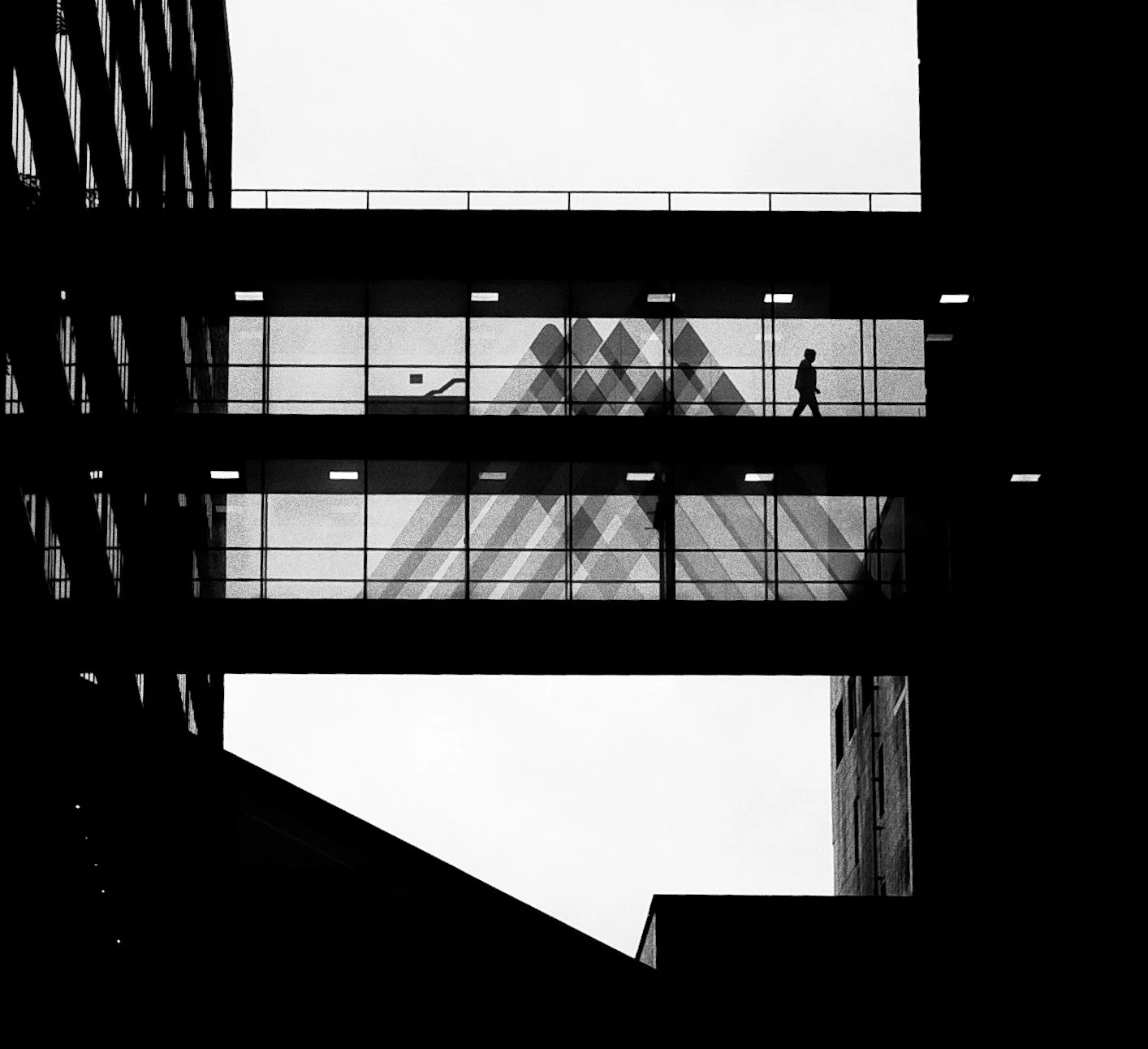 Credit: Vlad Klipinitser
  View Portfolio 