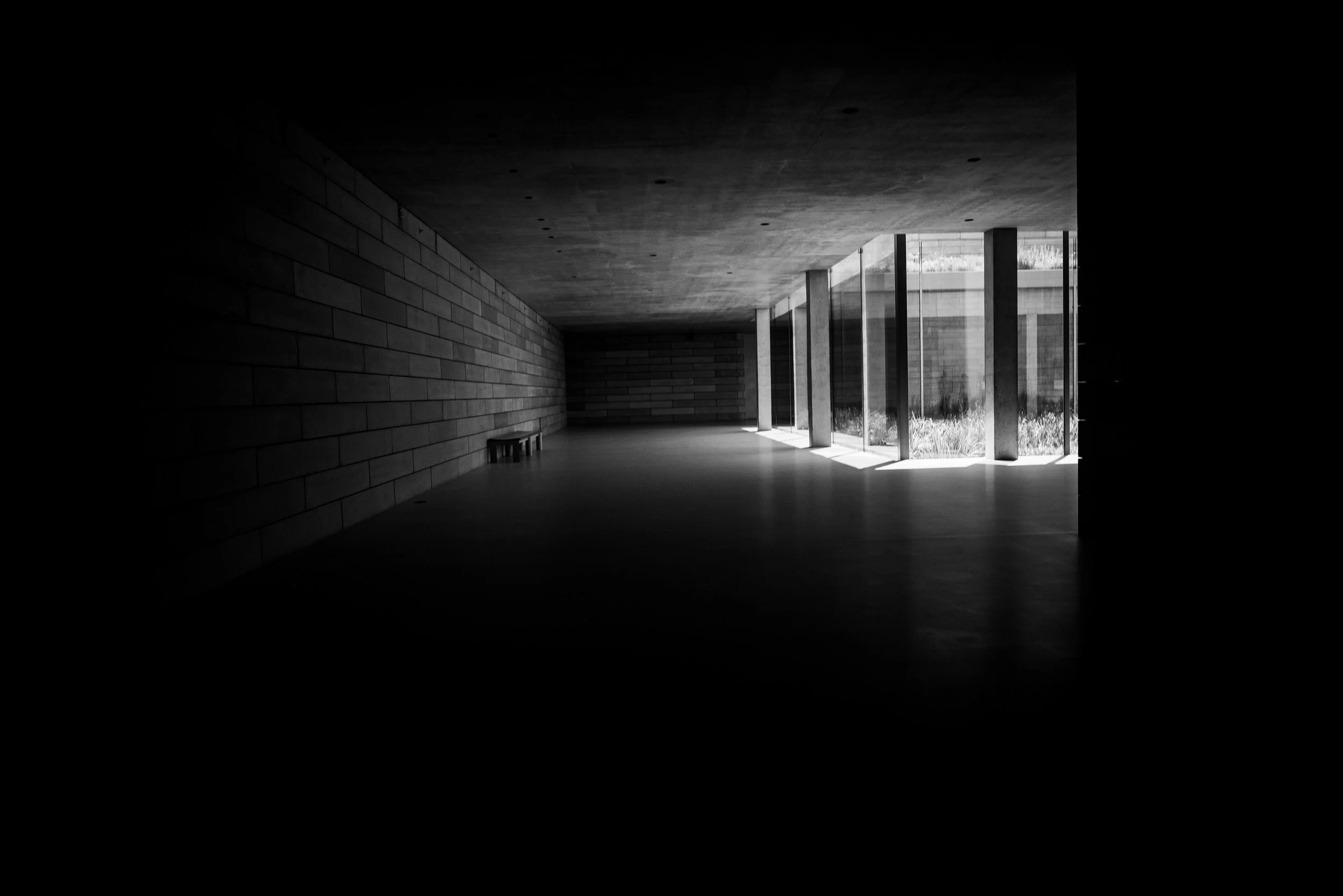 Credit: Steve Lim
  View Portfolio 