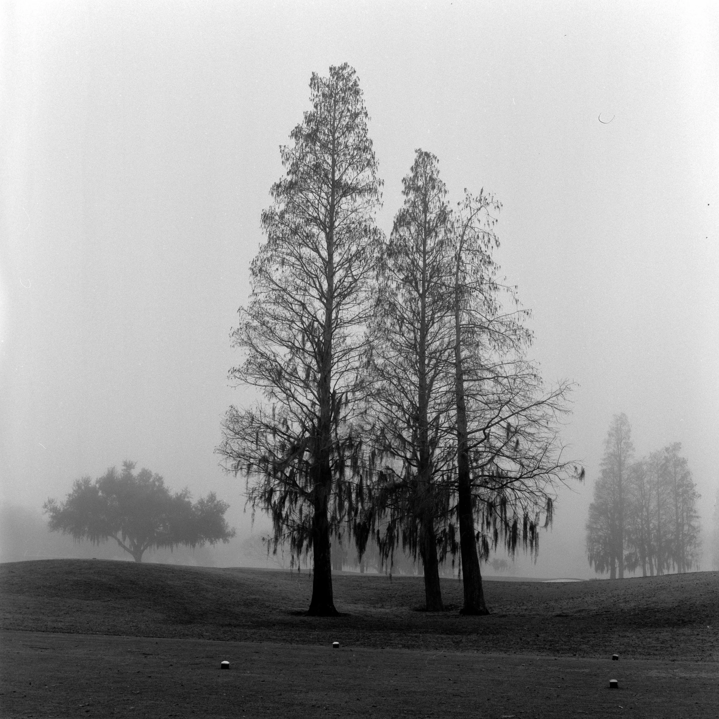 Derrick Buckner:Landscape