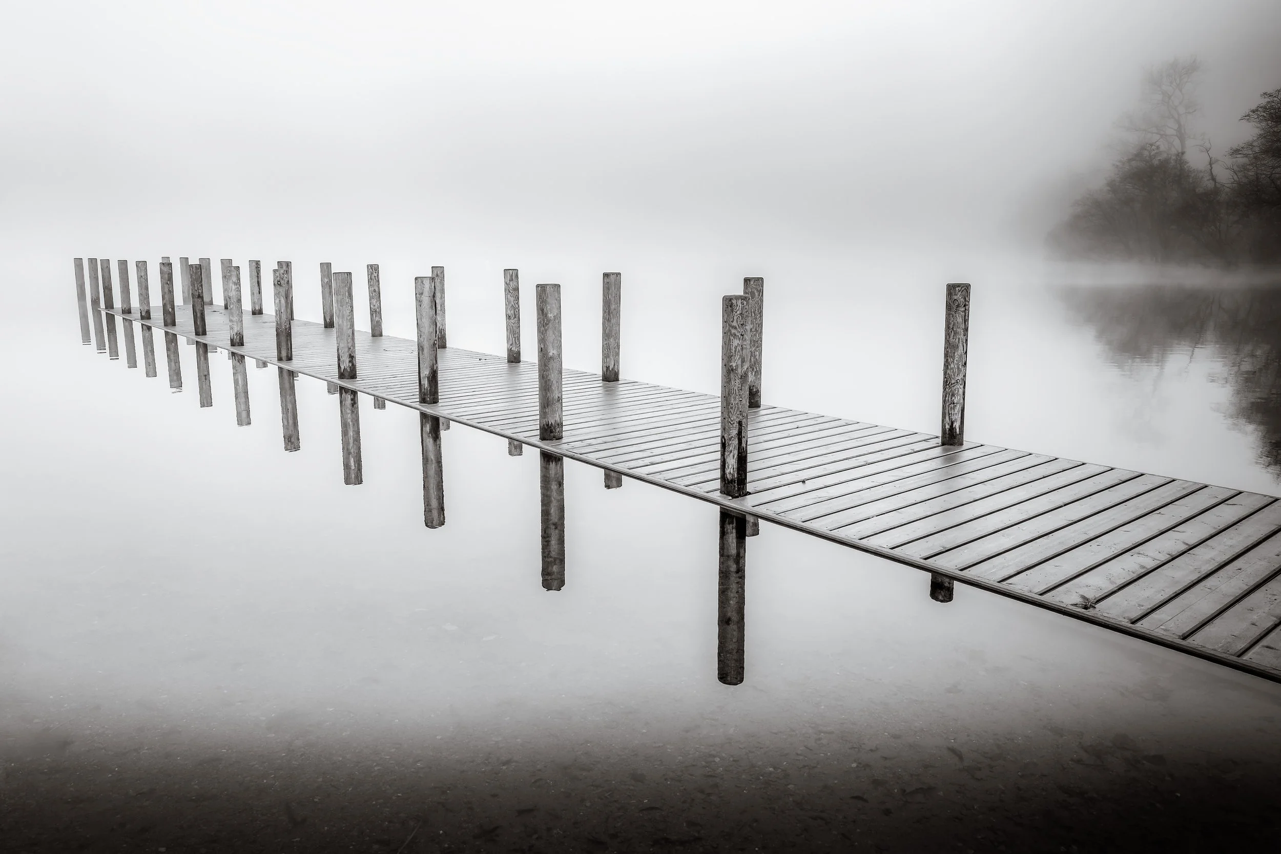 Joy Rigg:Landscape