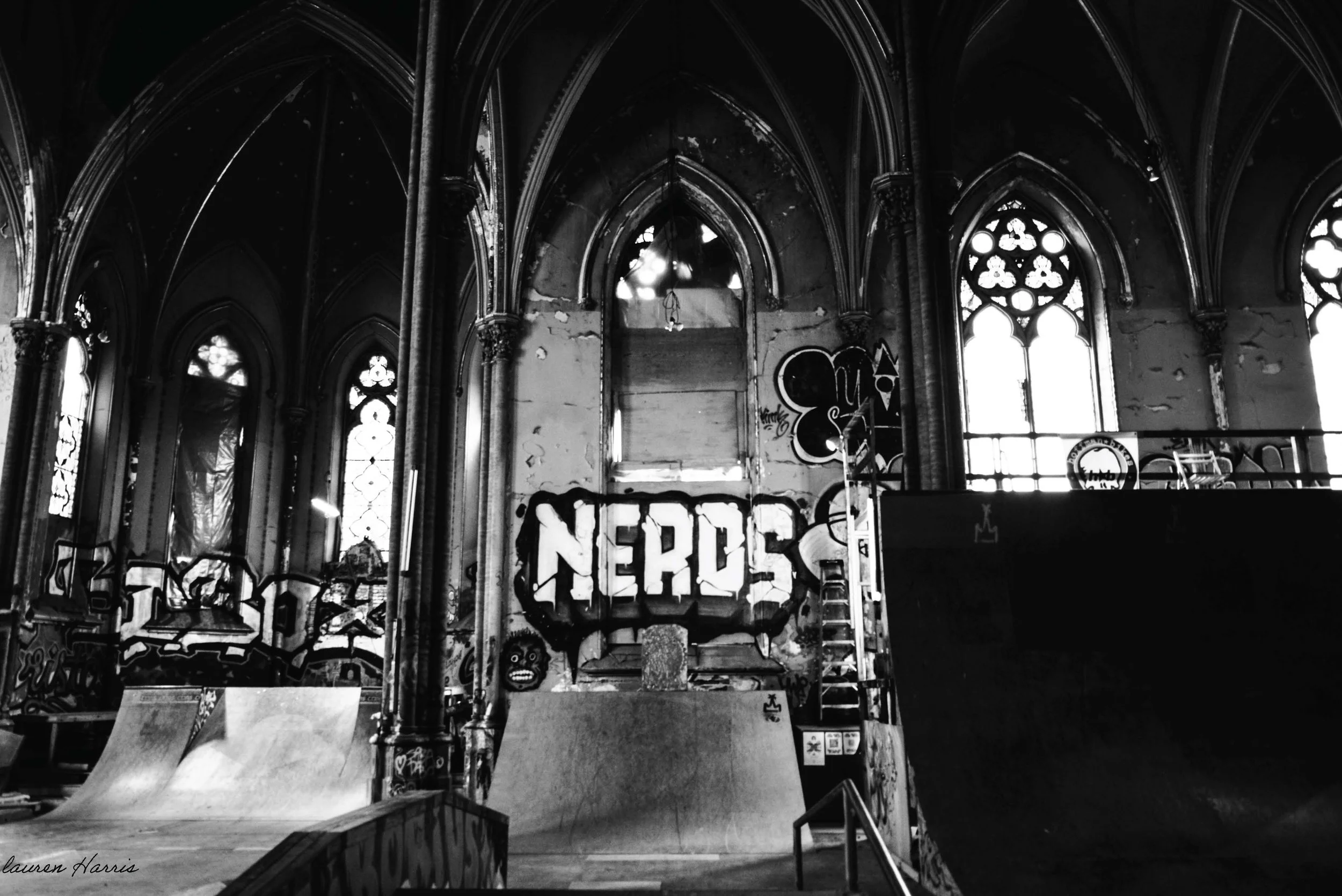 Credit: Lauren L Harris
  View Portfolio 