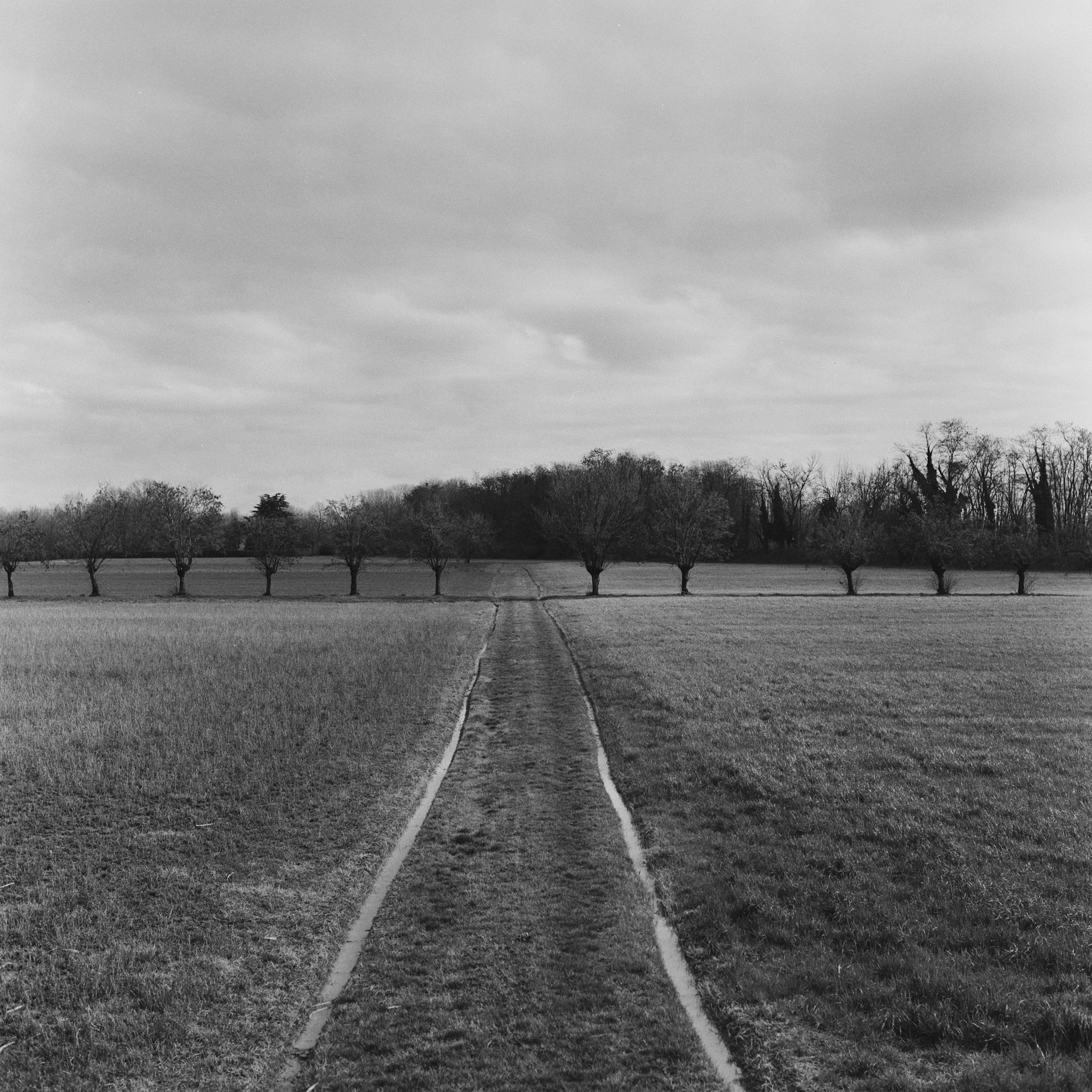 L1020343.jpeg