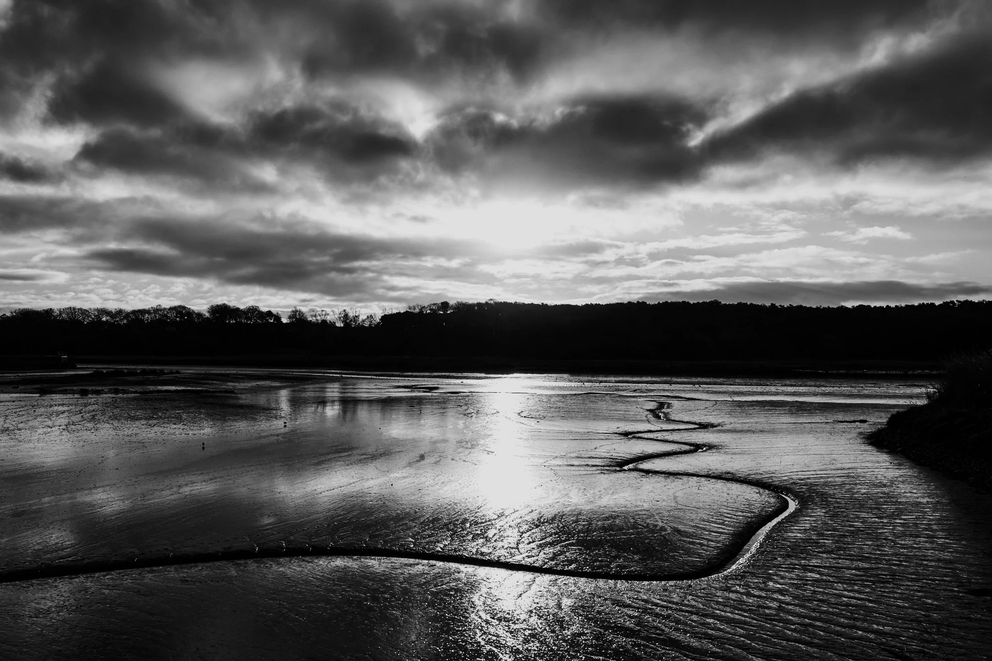 Paul Jenkin:Landscape