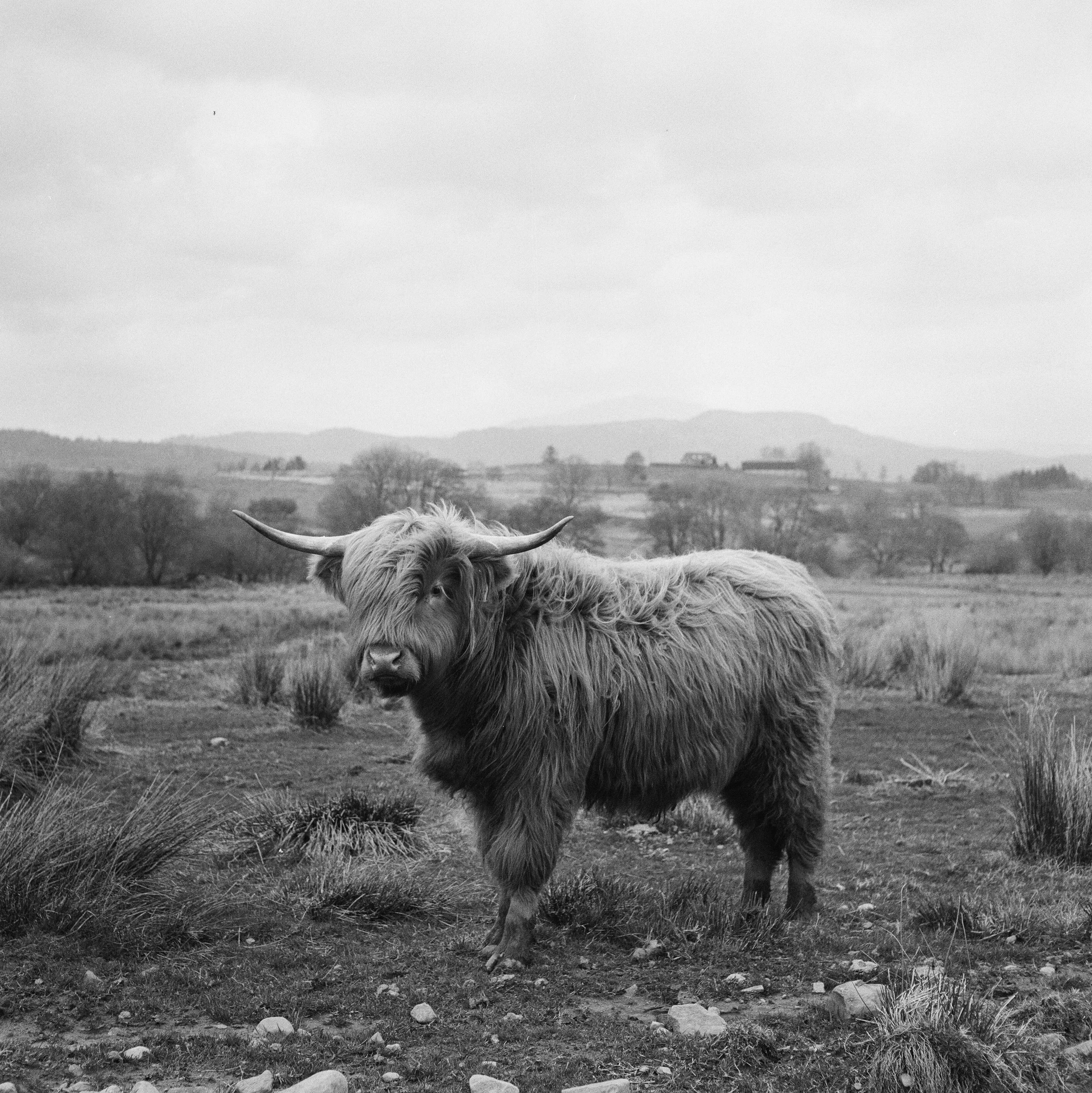 Kieran Silk:Nature