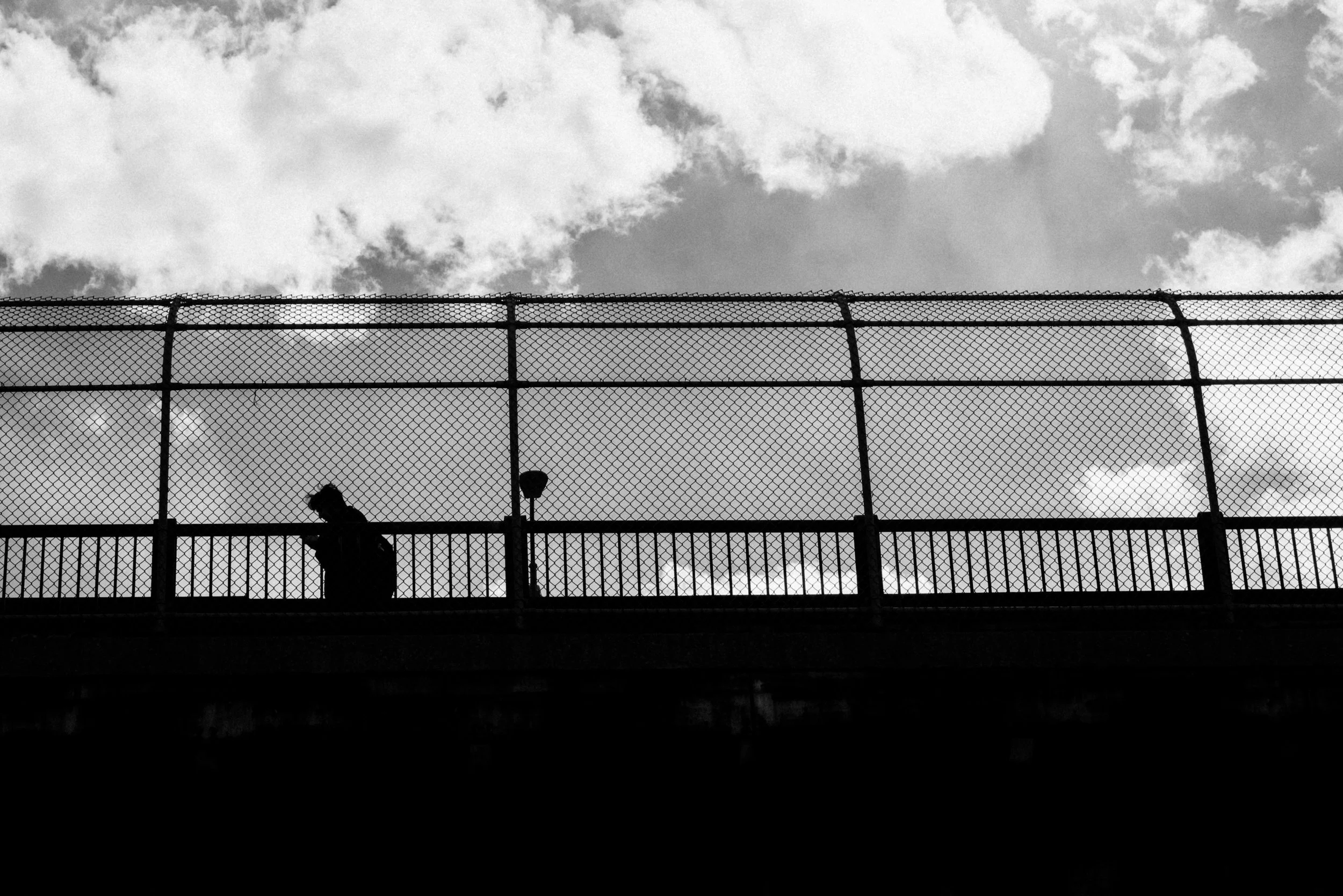 Shane Guidaboni:Street