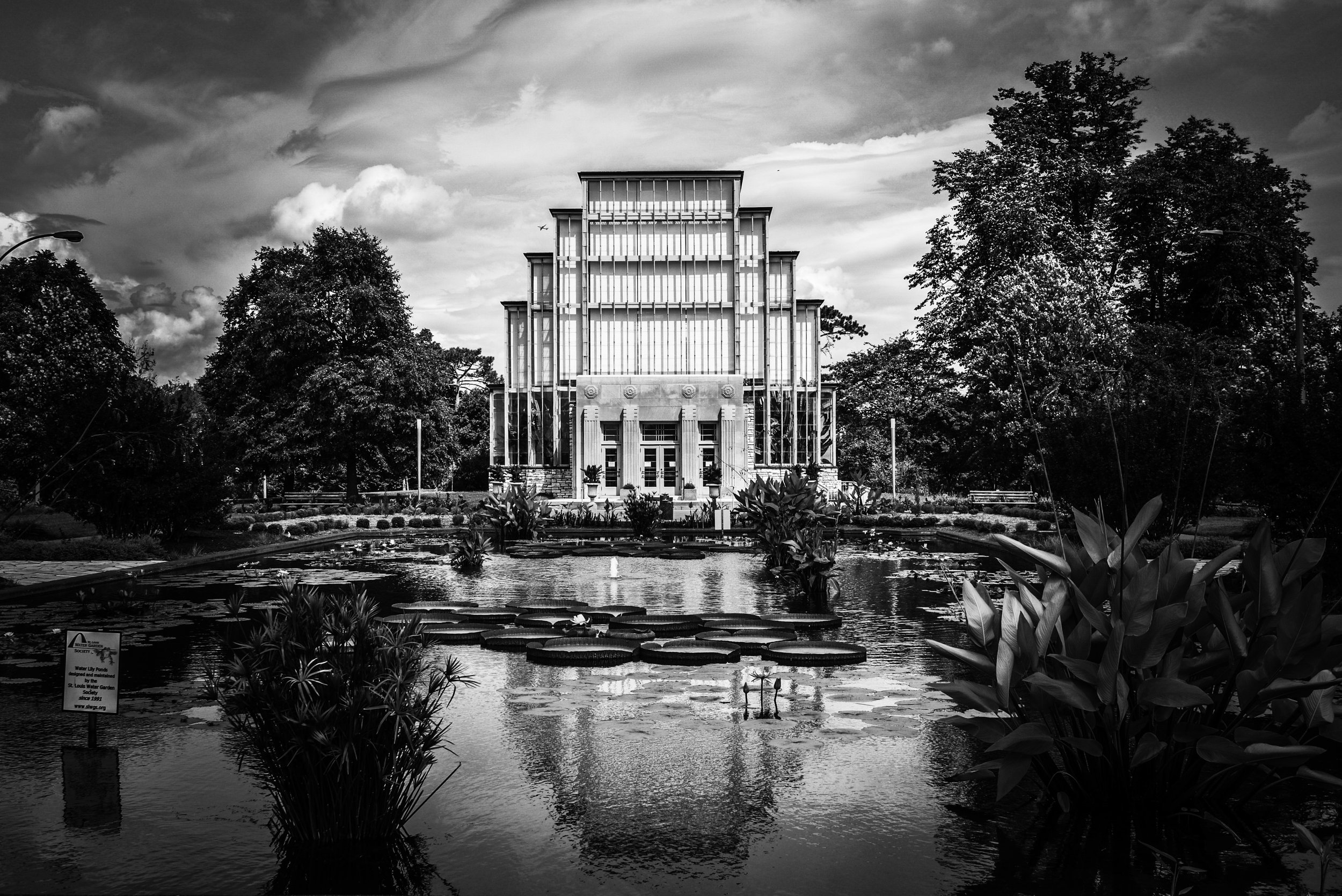 Credit: Lauren L Harris
  View Portfolio 