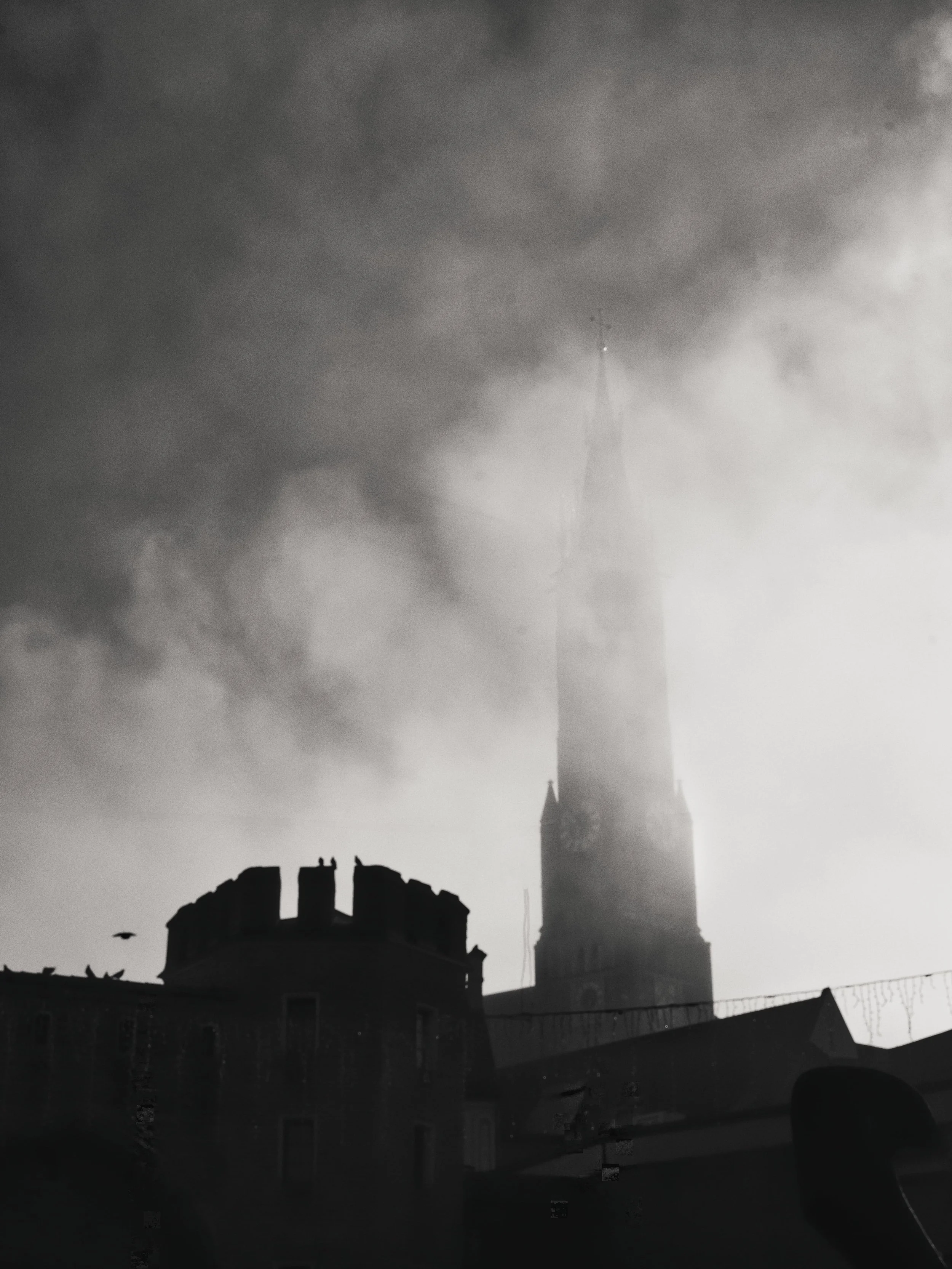 P1101693_1-min.jpg
