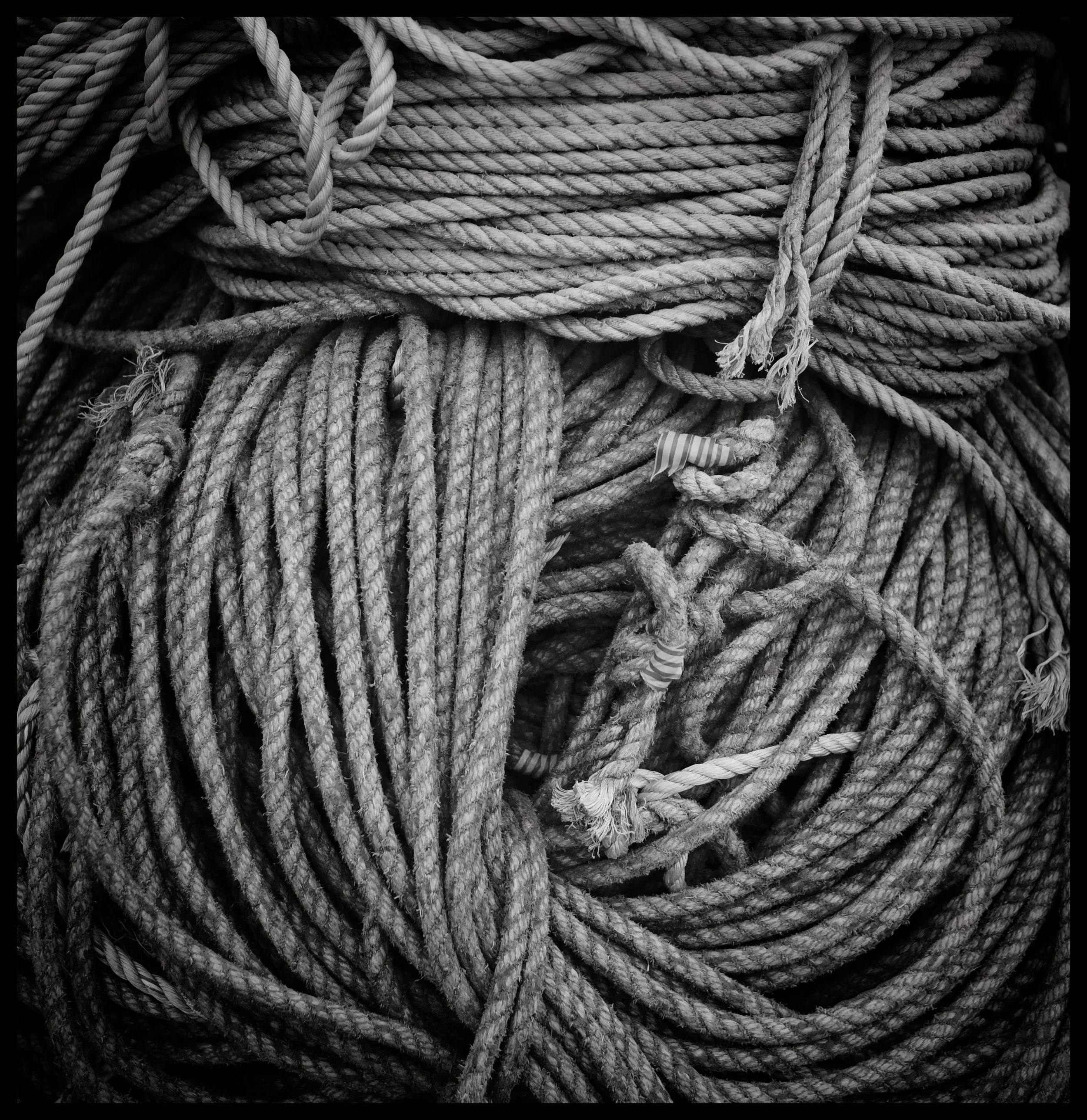 Neil Silk:Still Life