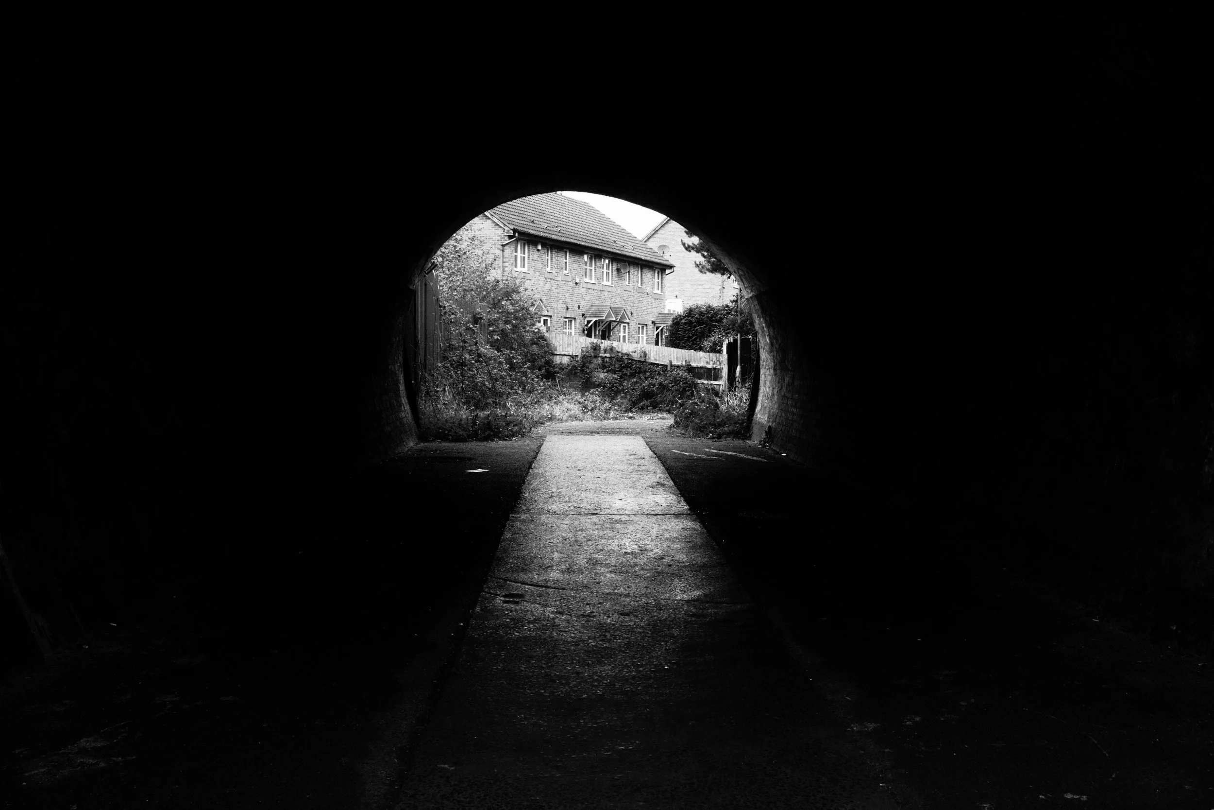 Credit: Nathan Boyce
  View Portfolio 