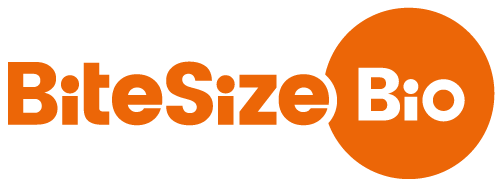 Bitesize Bio