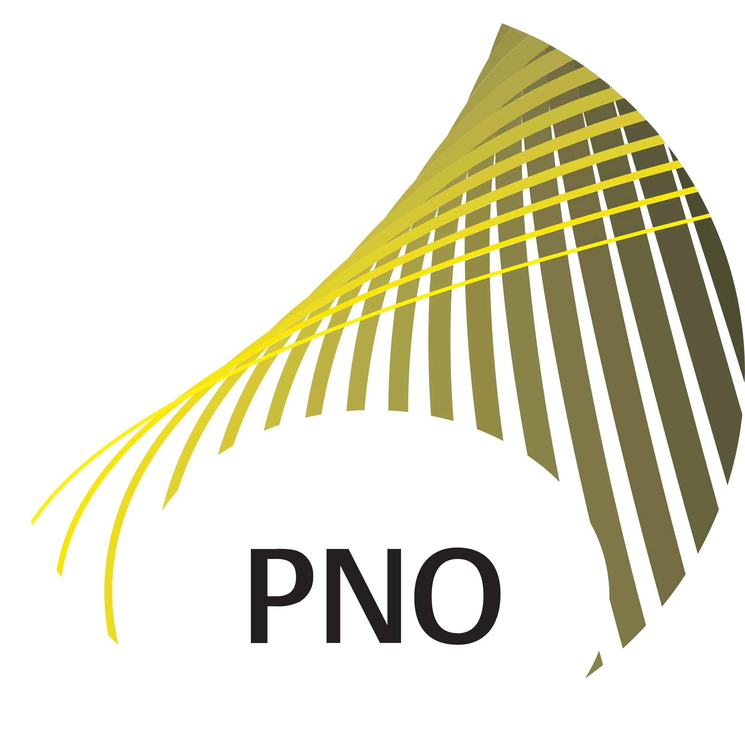 PNO Consultants