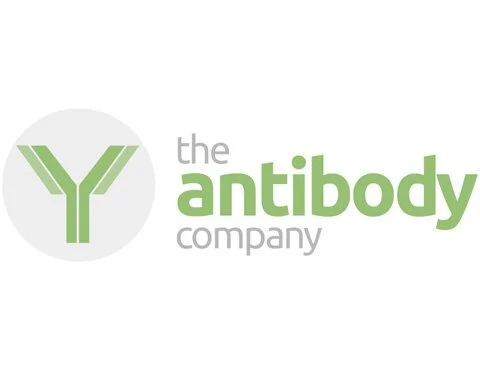 The Antibody Company