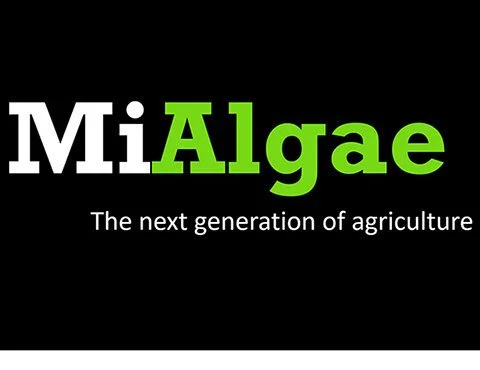 MiAlgae