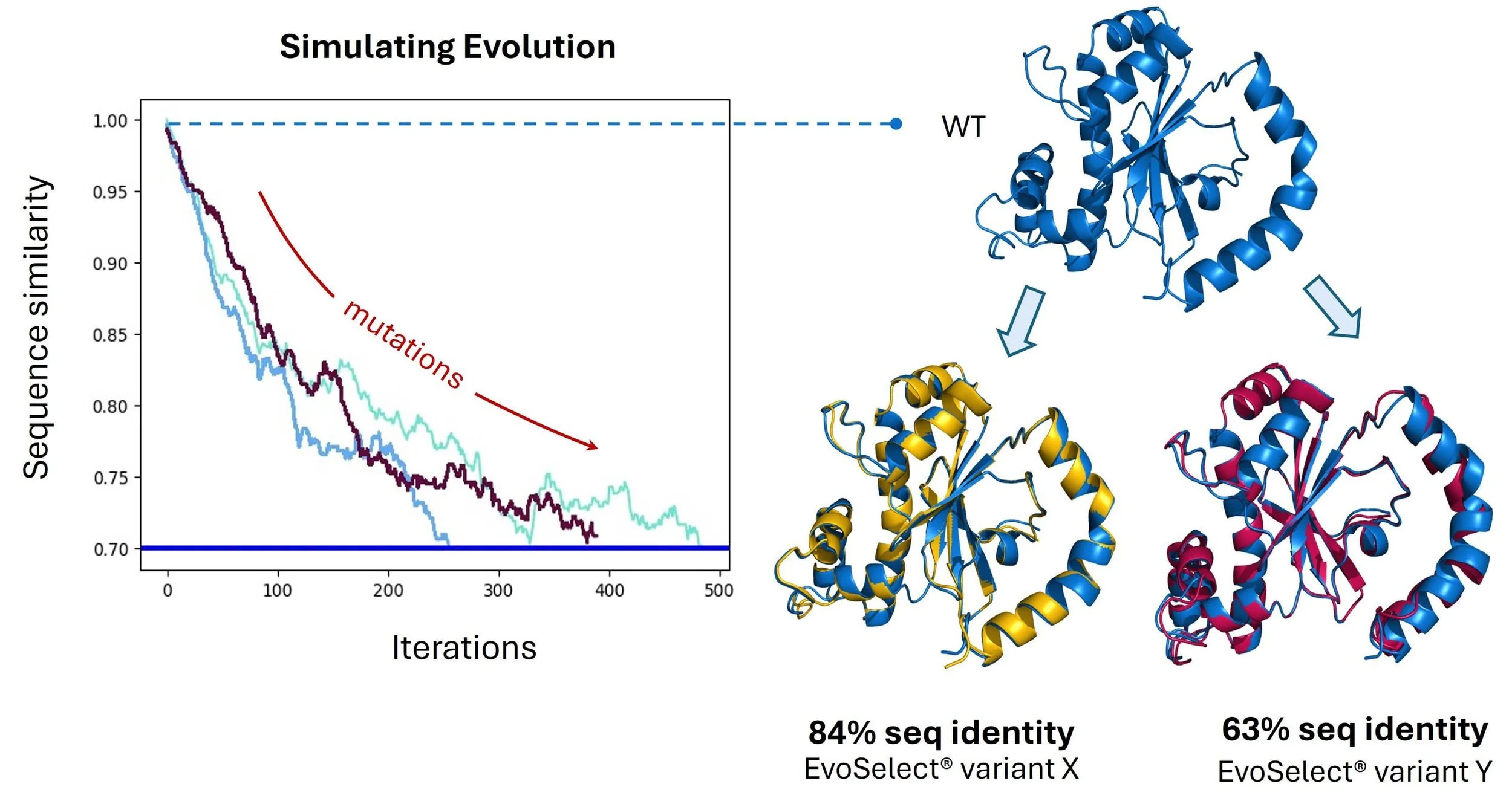 Unlocking Protein Potential: Isomerase announce powerful new tool
