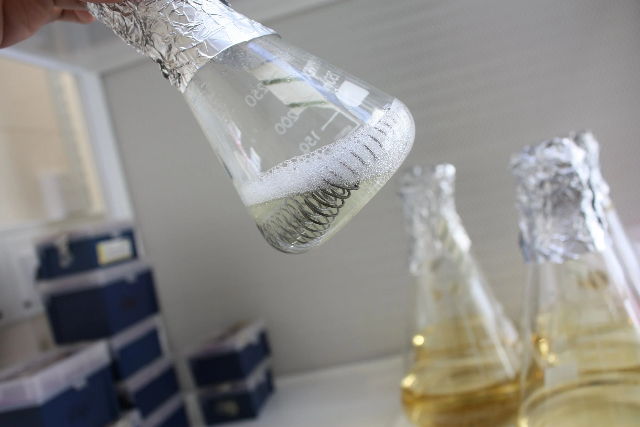 Researchers sniff out opportunity for more ethical and eco-friendly perfume