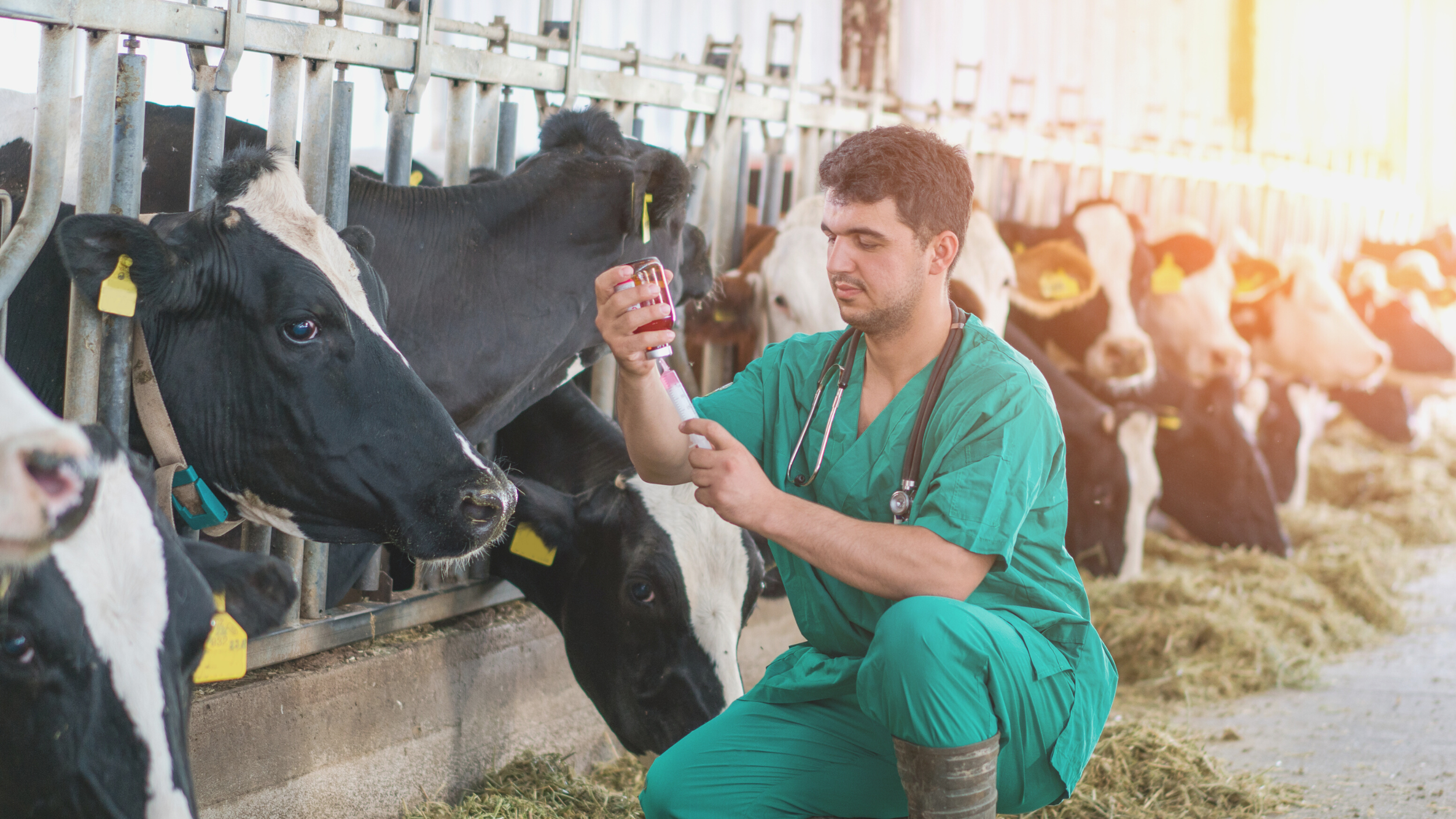 MI:RNA Diagnostics believe they can play invaluable role in achieving net zero targets in farming.