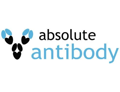 Absolute Biotech Launches to Offer Antibody  Reagents, Services and Expertise to Researchers Worldwide