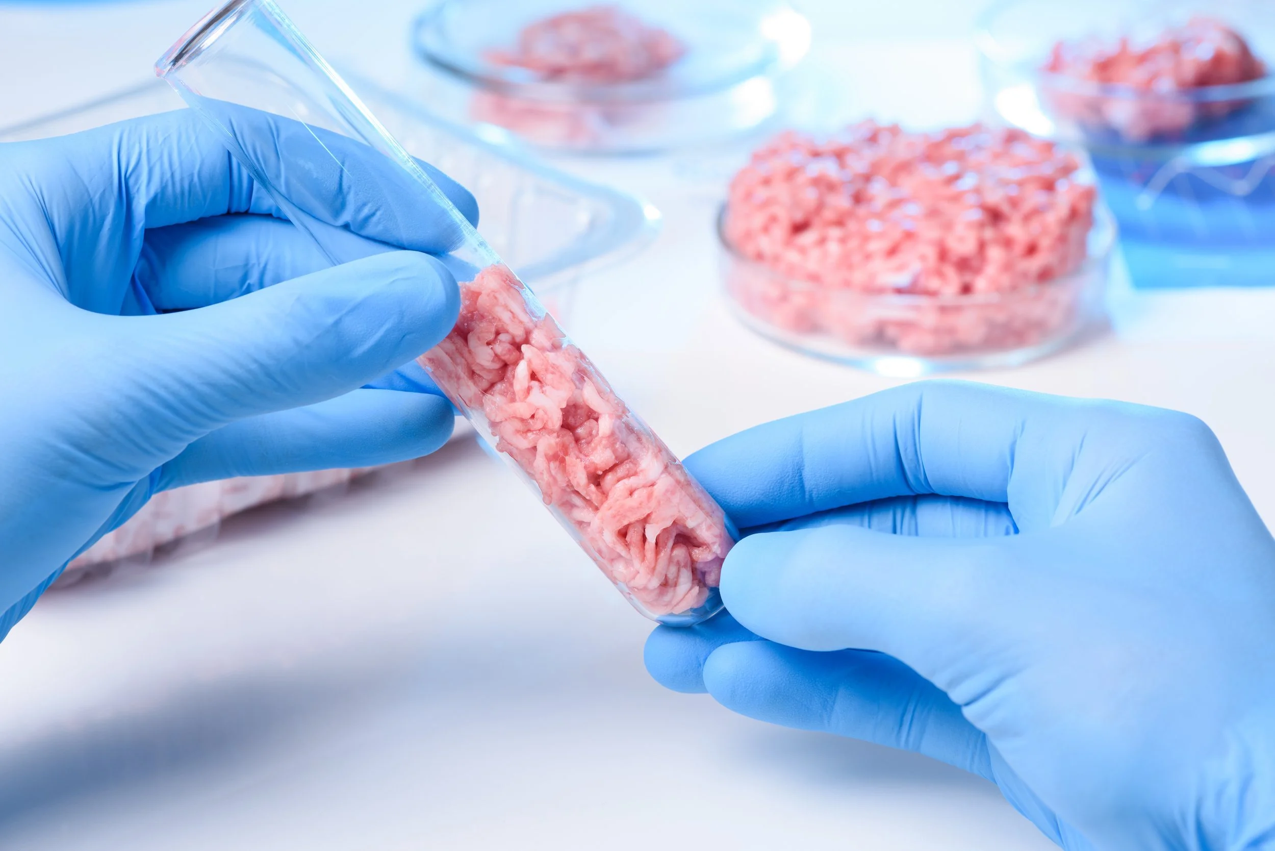 Researchers make meaty breakthrough to support cultivated pork production