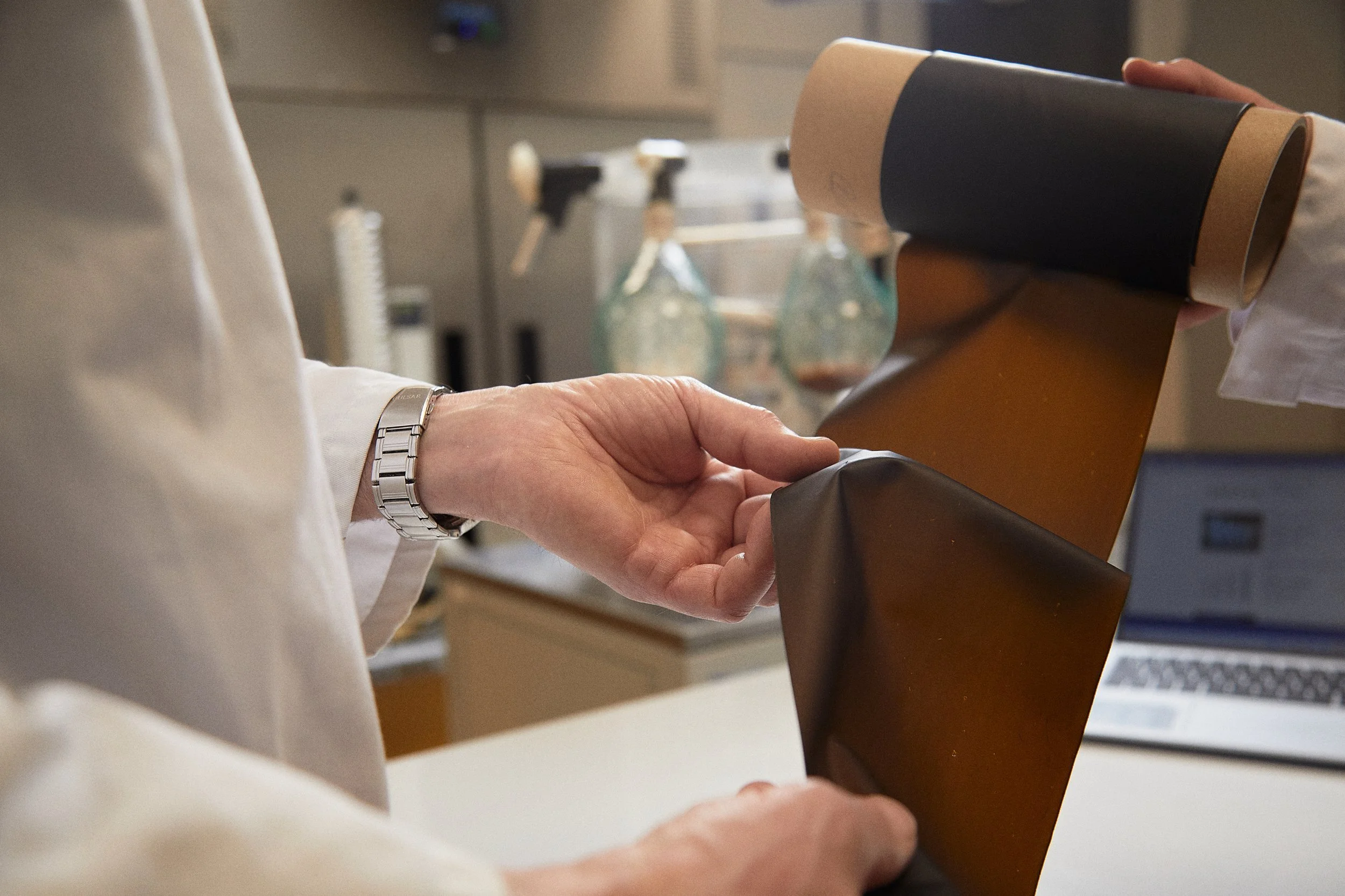 OCEANIUM part of new SeaMark EU consortium for the seaweed industry