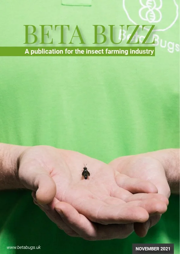 Meet the insect farming innovators leading the revolution together to help combat the climate crisis