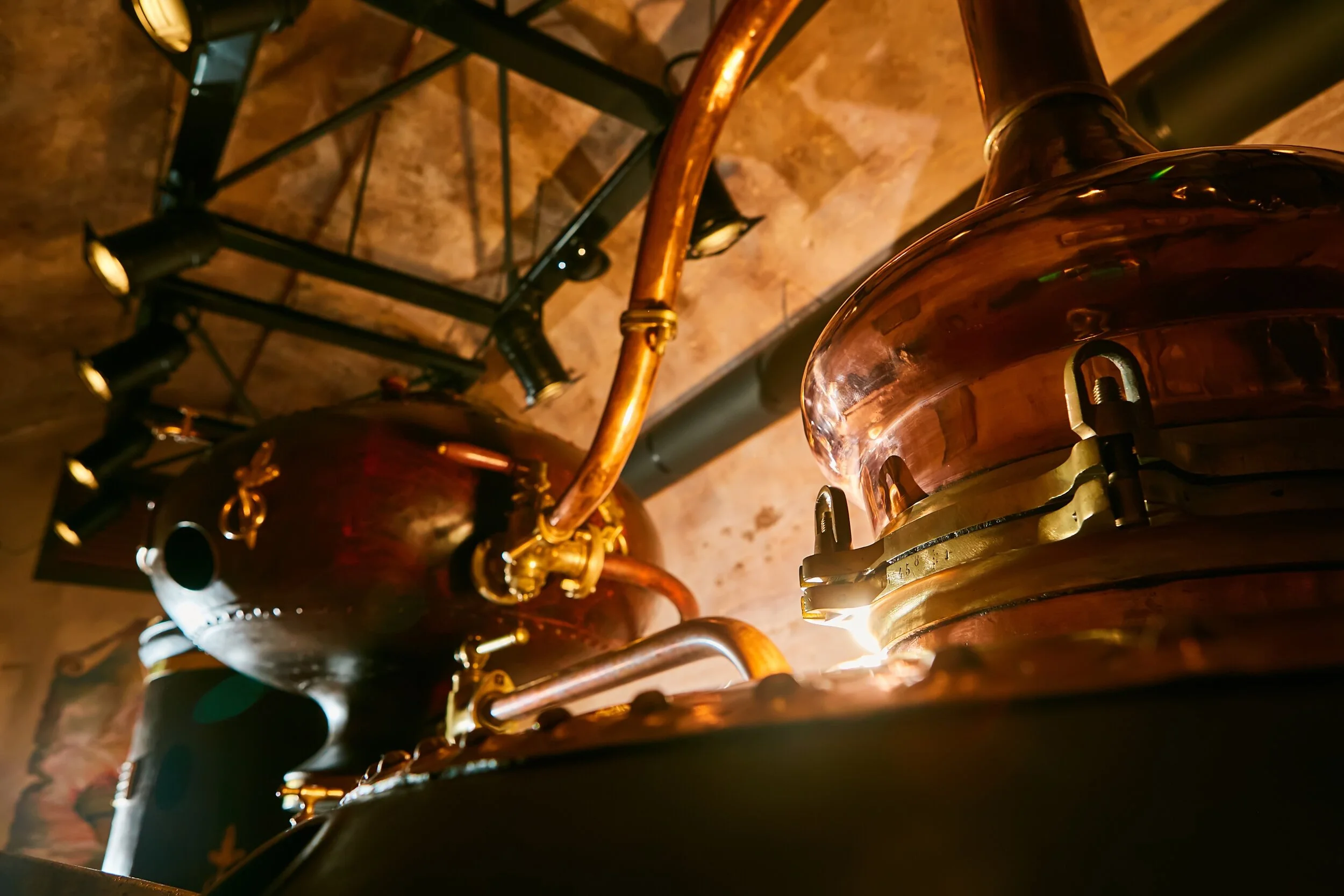 Whisky industry and biotech innovators collaborate to find new sustainable solutions