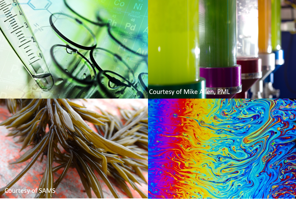 Algae-UK and IBioIC join forces to support sustainable production