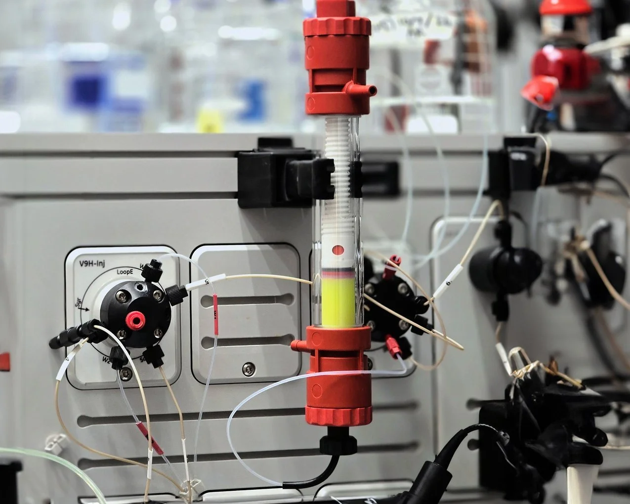 Mastering protein purification using chromatography techniques