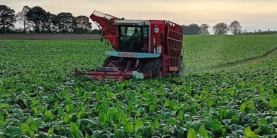 Sugar Beet Open Day at Stracathro Estates
